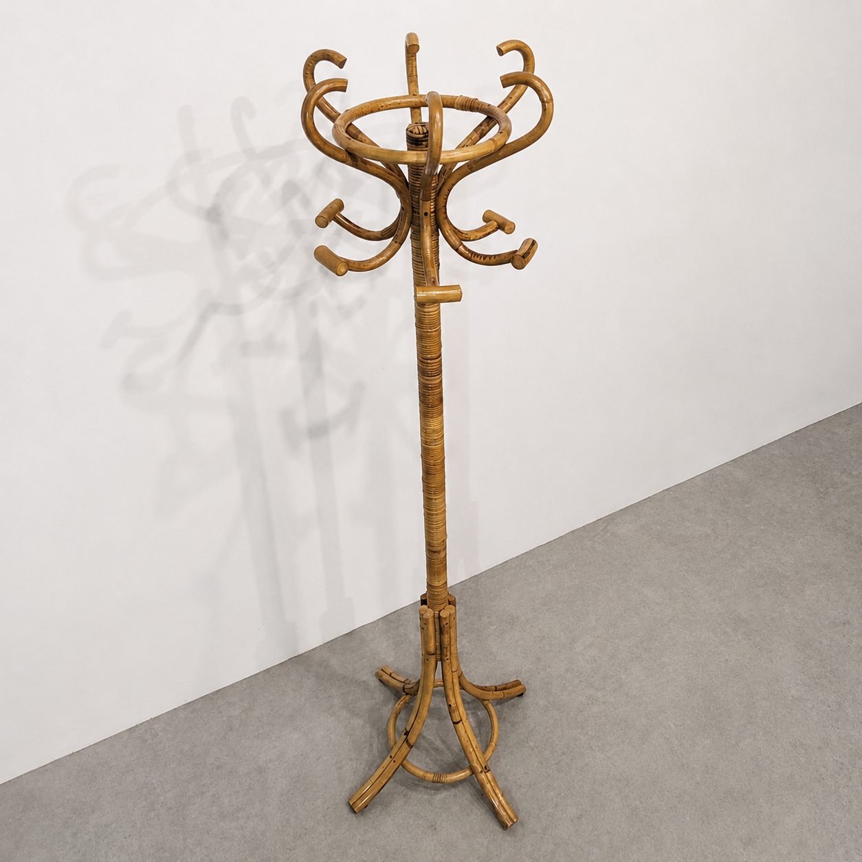 Perroquet Boho – Image 4